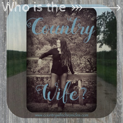 Who is the Country Wife? www.countrywifechronicles.com