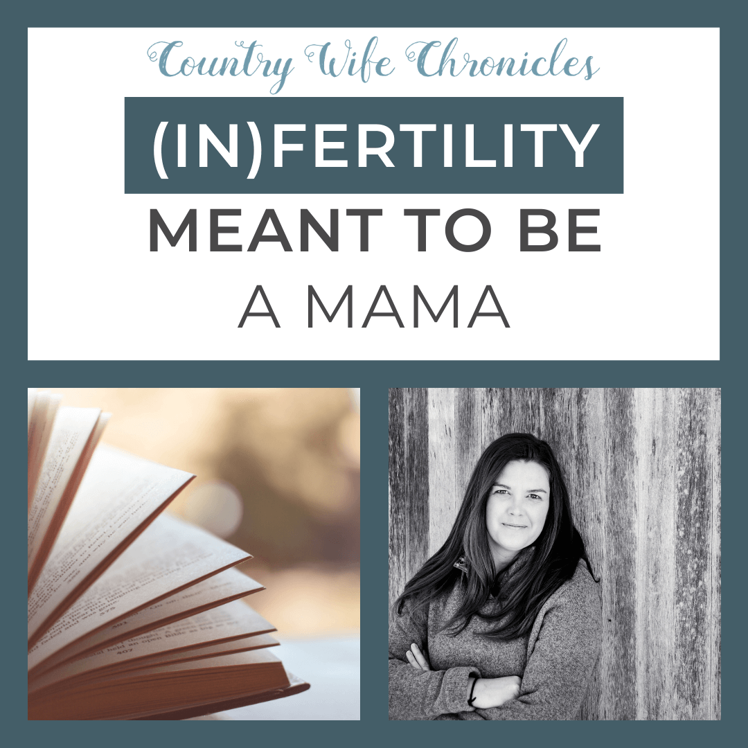 Feature Blog Post Image for (In)Fertility: Meant to Be a Mama