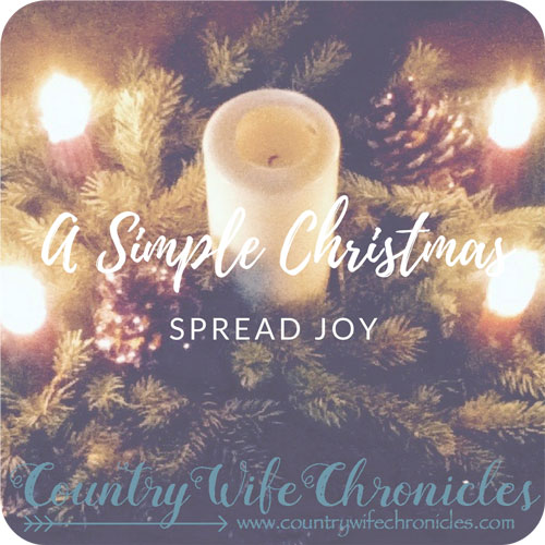 A Simple Christmas Spread Joy Feature Image