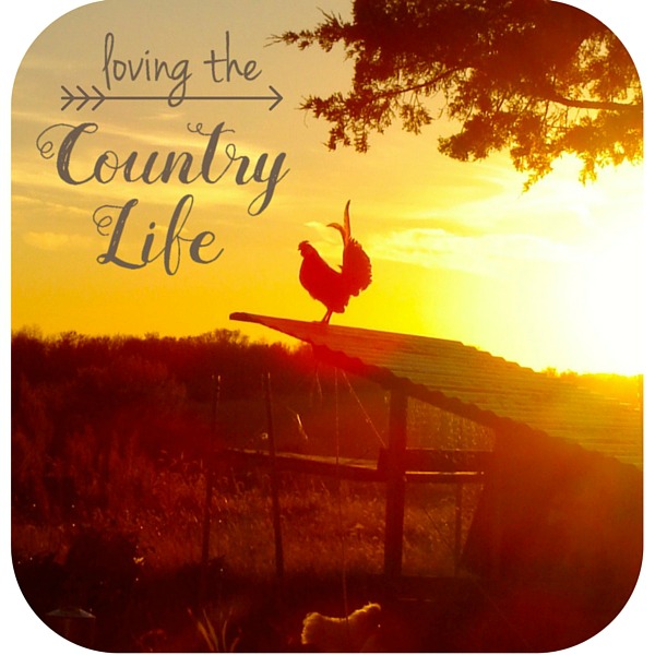 Loving the Country Life at Country Wife Chronicles