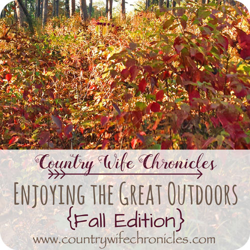 Enjoying the Great Outdoors {Fall Edition} Feature Image