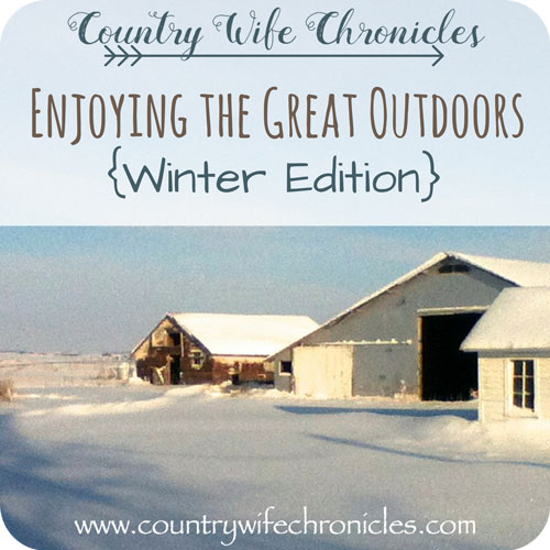 Enjoying the Great Outdoors {Winter Edition} Feature Image
