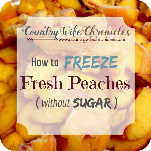 How to Freeze Fresh Peaches (without Sugar) Feature Image