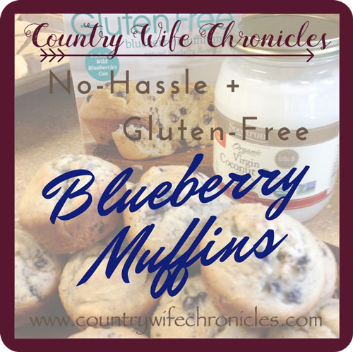 No-Hassle Gluten-Free Blueberry Muffins Feature Image