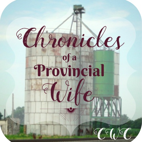 Chronicles of a Provincial Wife Feature Image