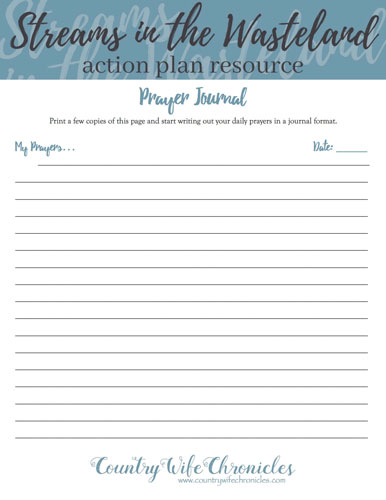 Streams in the Wasteland Action Plan Resource Day 11 Image
