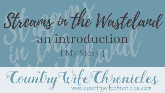 Streams in the Wasteland: An Introduction {My Story} Feature Image