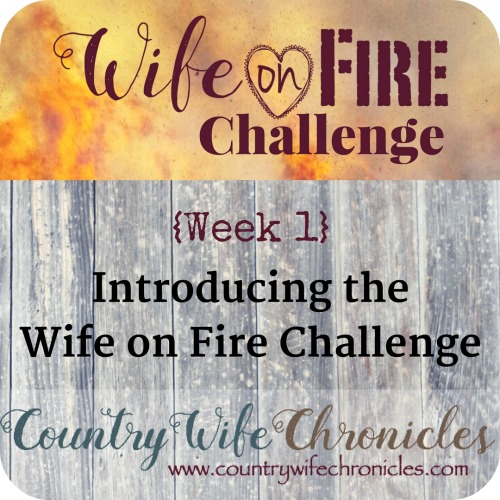 Wife on Fire Challenge Week 1 Feature Image