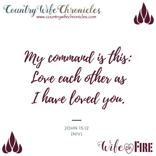 John 15:12 (NIV) Wife on Fire Verse