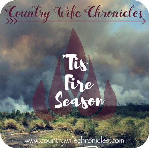 Tis Fire Season Feature Image