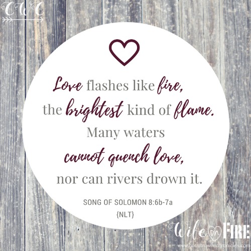 Song of Solomon 8:6b-7a {NLT} Wife on Fire Challenge Verse