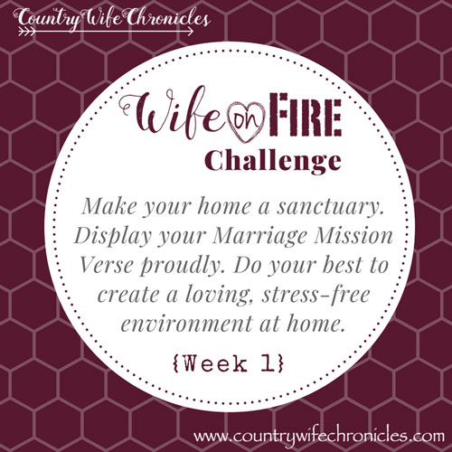 Wife on Fire Challenge 2018 -- Week 1 Challenge