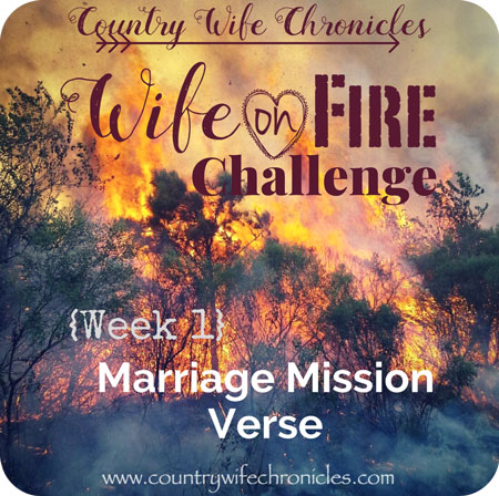 Wife on Fire Challenge 2018 Feature Image {Week 1}