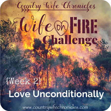 Wife on Fire 2018 {Week 2} Feature Image