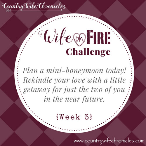 Wife on Fire Challenge 2018 -- Week 3 Challenge