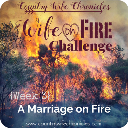 Wife on Fire 2018 {Week 3} Feature Image